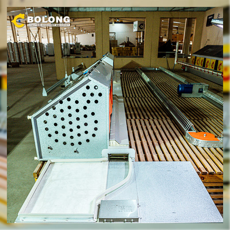 consistent quality Automatic Egg Collector